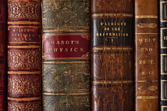 iStock_000019646971Medium